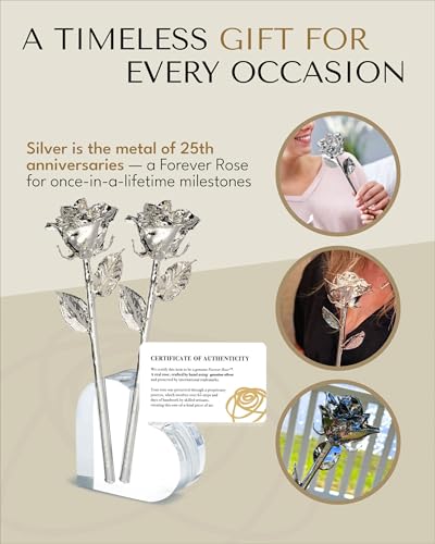 Image of Forever Rose Two Real Roses Dipped in Silver, Handcrafted Preserved Roses in Acrylic Heart Vase and Luxury Gold Gift Box, Romantic Gift for Her, Elegant Gift for Any Special Occasion