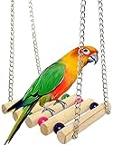 Hyamass Bird Swing