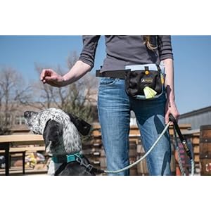 OllyDog-Backcountry-Day-Bag-Fanny-Pack-Dog-Treat-Pouch-Hands-Free-for-Training-Hip-Pack-with-Built-in-Poop-Bag-Dispenser-Removable-Waist-Belt-Clip-Maui-Blue - Cucciolini Doodles   OllyDog-Backcountry-Day-Bag-Fanny-Pack-Dog-Treat-Pouch-Hands-Free-for-Training-Hip-Pack-with-Built-in-Poop-Bag-Dispenser-Removable-Waist-Belt-Clip-Maui-Blue