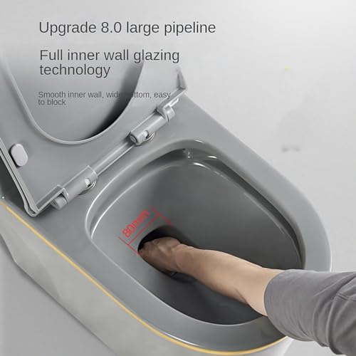 Smart Ceramics Bidet Toilet, Combo de inodoro y bidé con doble descarga, inodoro moderno de una pieza con altura estándar para hogar o hotel, C-720x390x630mm miniatura 2