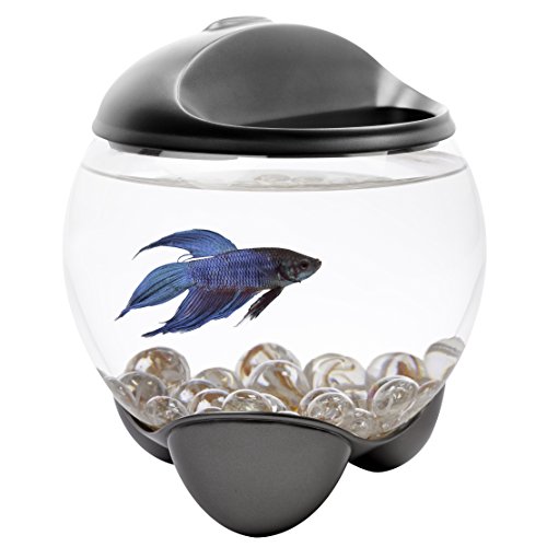 Tetra 29263 Betta Bubble Bowl