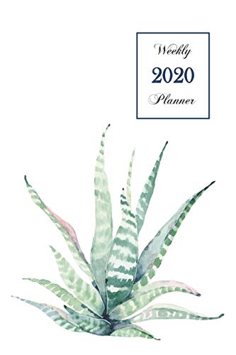 2020 Weekly Planner: 6 x 9 inch 150 Pages Year Months Weeks Calendar, Schedule, and Organizer plus Dot Grid Pages (January 2020 - December 2020) (Cactus, Band 12)