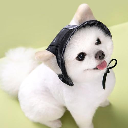 Leap Raupe 犬 帽子 耳出し 夏 被り物 小型犬 (黒, S)