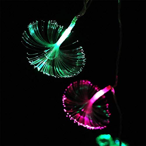 Ausuky 2,5 m 10 LED Guirlande lumineuse à piles Fibre optique Guirlande lumineuse décorative Fleurs de fée pour Noël, mariage, fête (Multicolore)