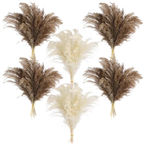 60 PCS Natural Dried Pampas Grass, Fluffy Pompas Grass Stems