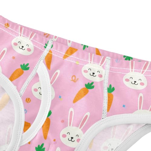 Cute Bunny Rabbit Carrot Pink Toddler Boy's Underwear 2T 23022134