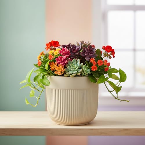 Image of Xtore Elegant Dual-Texture Ceramic Planter Pot for Indoor Plants | Modern Ribbed Flower Pot for Home, Office Desk & Balcony Decor (Cream Beige - Planter only)