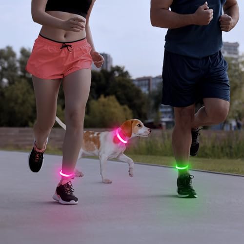 Kpuplol Light Up Dog Collar, Led Dog Collar USB Rechargeable Waterproof - Image 2