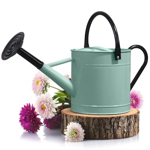 Plexon 1 Gallon Watering Can Metal, Tiffany Blue Garden Watering Can Outdoor, Indoor Metal Watering Can, Large Gardening Watering Pot, Black Galvanized Steel Handles and Removable Spray Spout -  WC1P5GMBL