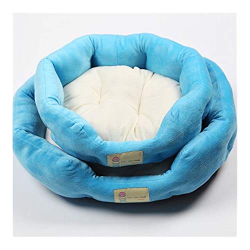 Chenil de qualité supérieure avec finitions soignées pour chiot
