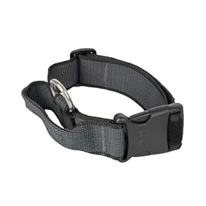 Collier Réglable pour Chien JULIUS K-9, Noir et Gris avec Poignée