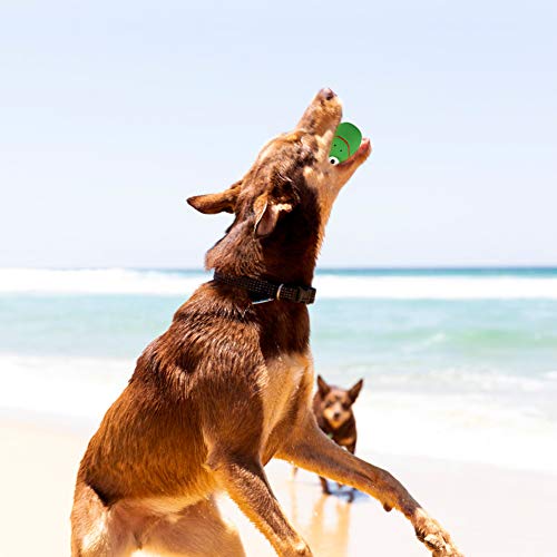 6 Pack Latex Dog Squeaky Toys Ball Soft Rubber Puppy Chew Squeaky Dog Toys Funny Animal Sets Pet Interactive Fetch Play Dog Toy For Small Medium Dogs #TOP6