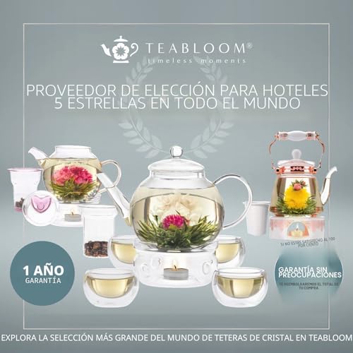 Miniatura 9 de Tetera Clásica De Uso Diario Teabloom - Tetera De Cristal Apta Para Fogones - 1200 Ml De Capacidad - Infusor Extraíble De Acero Inoxidable