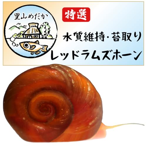 R߂ bhYz[ 30C | |  ێ ێ L ߂ ANAE _J  Mы ӏܗp