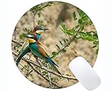 bienenfresser vogel gesang 5.Rutschfeste Unterseite; Gaming Round Mouse Pad Benutzerdefinierte, Europäische Bienenfresser Gaming Round Mouse Pads