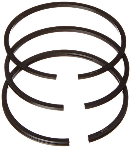 Hitachi 885465 segments de piston de rechange pour Ec2510E