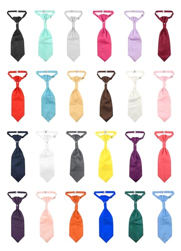 Vesuvio Napoli PreTied ASCOT Solid PAISLEY Color Cravat Men's Neck Tie 21 Colors