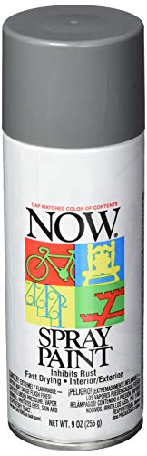 Image of Krylon NOW Spray Paint, Gloss, Gray, 9 oz