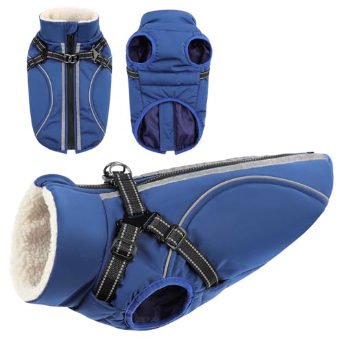 CITÉTOILE Hundemantel Hundejacke Warm Wintermantel mit Reißverschluss Winddichte & Winddichte mit Reflektorstreifen & Brustgurt für kleine Mittel Große Hunde Blau M