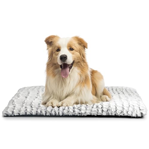 Petace Dog Self-heating Pad 75 x 50 cm, Pet Self-warming Mat, Electric-Free Warm Bed for Kittens & Small Puppy