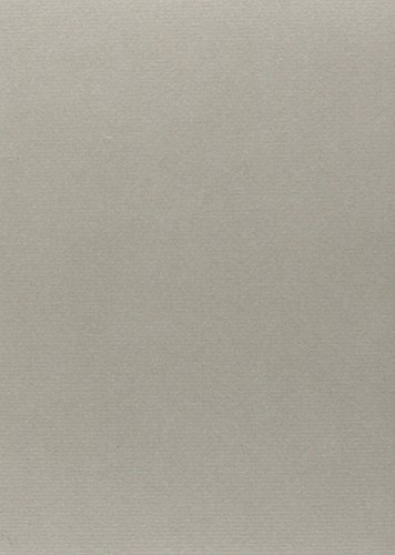 Martin Heidegger, Gesamtausgabe: Anmerkungen I-v