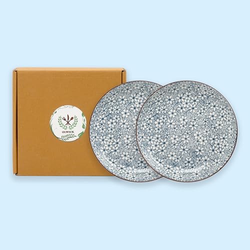 Image of Japanese Style 8-Inch Ceramic Round Dinner Plate - Microwave & Dishwasher Safe, 20.4x4.3cm Porcelain Dish for Seafood, Appetizers & Snacks, Sakura (2 Piece)