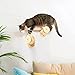 Chewtoyo Cat Wall Steps, Mounted Cat Furniture Set for Larger Cats, Wooden Configurations, 28.5 Cm Long, Easy Installation