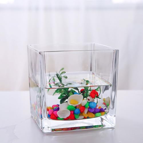 Vase hydroponie verre carré transparent résistant thermique x4