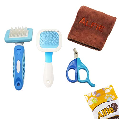 5 Best Guinea Pig Grooming Kit (Must Read!) Guinea Pig Tube