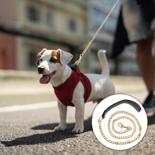 iplusmile Hundeleine Golden Metal, Goldenes Edelstahl Kettenhalsband, Goldkettenleine für große, Hunde Leine Chain mit Ledergriff Haustierleinenkette