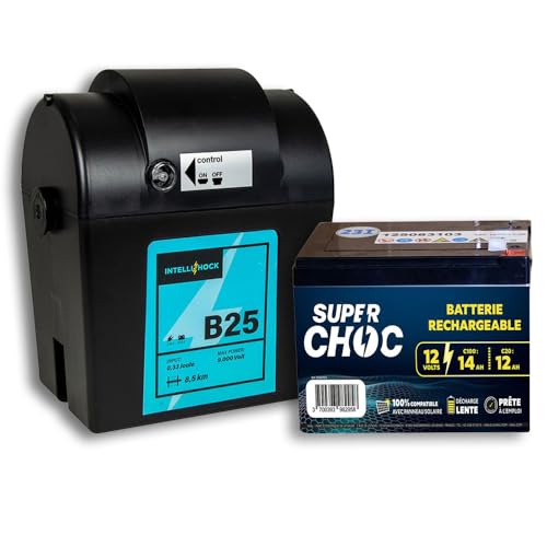 IntelliShock - Électrificateur Mixte de Clôture B25 - Avec Batterie 12 V 14 Ah - Poste 3 en 1, Alimentation Secteur, Batterie ou Pile - Facilement...