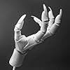 Amazon.com: Flexible Hand Model, Moveable Artists Manikin Hand Figure ...
