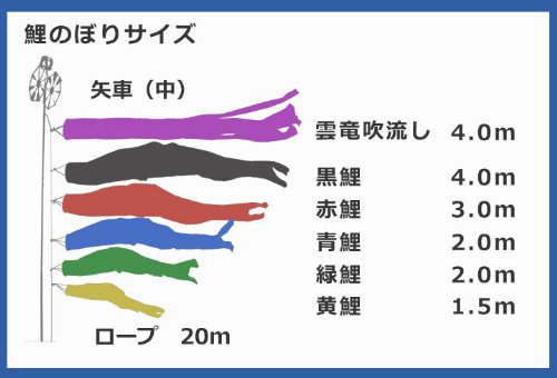 Amazon | 【家紋・名入れ対応】4m青海波雲竜吹流鯉のぼり 8点セット