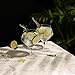 Viski Raye Angled Stemmed Gin and Tonic Glasses Set of 2 - Premium Crystal Clear Cocktail Gin Glasses for Gin Lovers Gift Set - 14oz