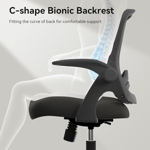 Hbada HDNY155BM/IN Office Chair, Desk Chair thumb #7