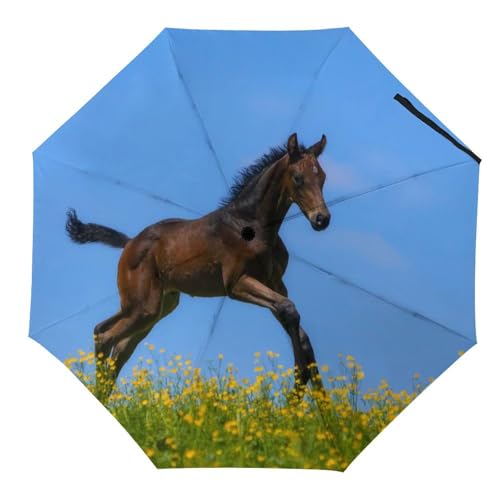 Parapluie automatique compact renard noir pour vos trajets et voyages