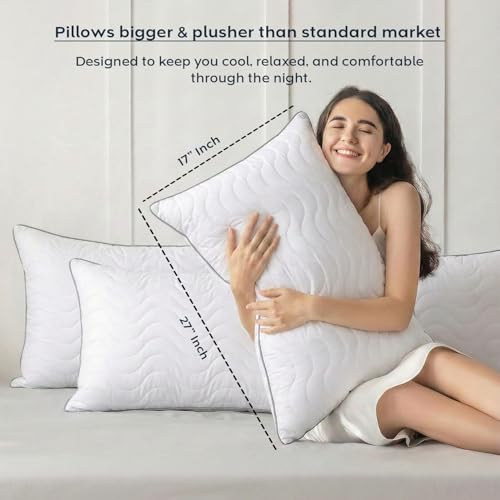Image of AYKA Ultimate Quilted Bed Pillow Set of 2 | 100% Virgin Microfiber Filling for Neck & Shoulder Support | 17x27 inch Breathable Hotel Quality Pillows | Never Flat, Anti-Bacterial | Supersoft