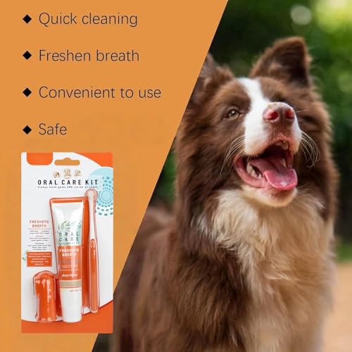 Dog Toothbrush with Toothpaste Dental Care Set for Dogs & Cats,Finger Brush & Soft Bristle Toothbrush,Dog Toothbrush and Toothpaste Set,Finger Toothbrush & Pet Dental Care Kit for Oral Hygiene - Image 4