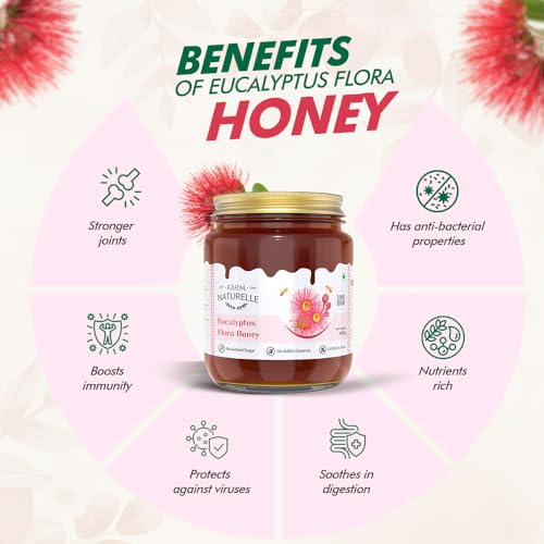 Image of Farm Naturelle Raw Wild Forest Honey 450g | Glass Bottle | 100% Pure Unprocessed & Natural Honey | Ayurvedic & Rich in Vitamins and Minerals | Helps Boost Immunity