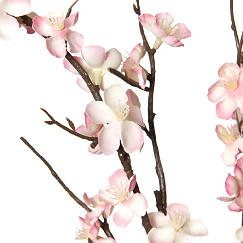 La mejor comparación de Cherry blossom comprados en linea. 12