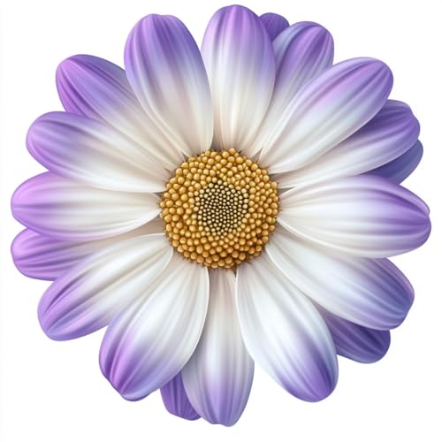 Bimkole 花弁 ダイヤモンドアート キーホルダー キット 両面全貼り クリスタルビーズアー チャーム 手作りDIY クラフト用品 大人の初心者向けクラフト財布バックパックハンドバッグファミリーデコレーション 6点セット