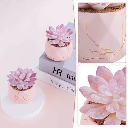 Artificial Succulent Plants in 2 Pink Ceramic Pots, Cute Fake Plants for Vanity Decor,Office, Desk, Bathroom, Kitchen,Bedroom, Shelves Decor for Women,Girls Gift - Image 5