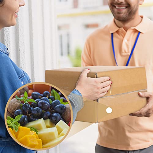 Image of Insulated Shipping Box Cold Double Insulated Carton with Foil Foam Cooler Boxes Delivery Moving Kits Foam Shipping Containers for Mailing Packing, Box Inside 8.7'' x 4.5''x 6.1''(6 Pcs)