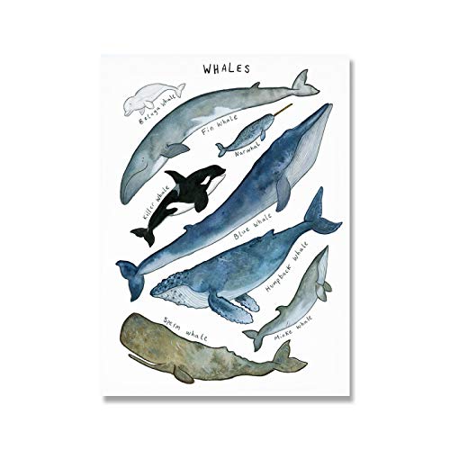 Baleine Illustration Animal Print pour créer un cocon nordique en chambre bébé