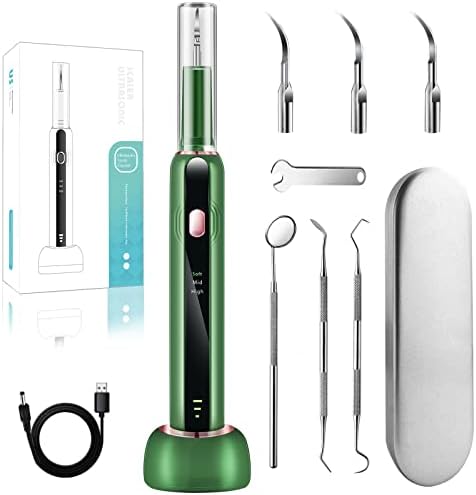 Cleaning Kit with LED Light, DIY Cleaner for Adults, 3 Cleaning Modes Oral Care for Home, wih 4 Replacement Heads