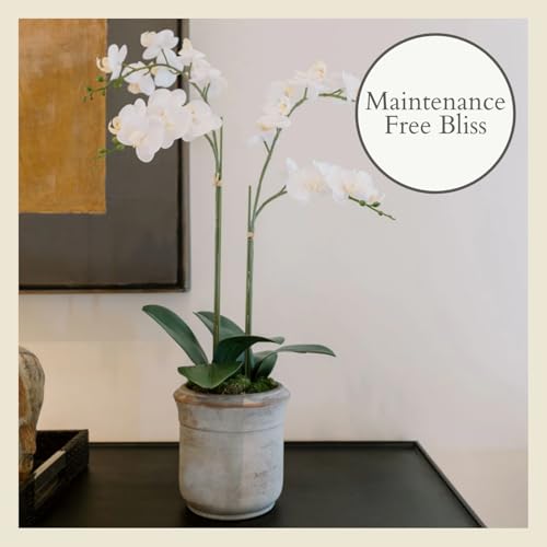 Image of CG Hunter Faux White Orchid Plant, Premium Artificial Indoor Flower Display Stands 24 inch, Beautiful Sculptural Blooms That Lasts Forever, Grey Planter Pot Included