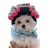 JENPECH Cat Wig Curly Hair Funny Pet Hat Pet Costumes Dog Head Wear Apparel Toy for Halloween,...