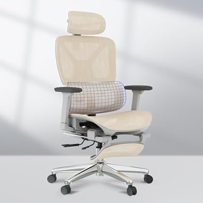 FLEXISPOT ErgoX Premium Ergonomic Office Chair ...