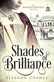 Shades of Brilliance: An Italian Renaissance Novel