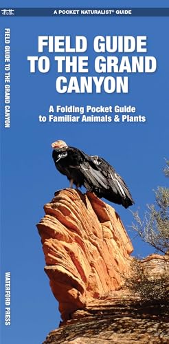 Grand Canyon, Field Guide to the, 2nd Ed: A Folding Pocket Guide to Familiar Animals & Plants (Nature Observation North America)